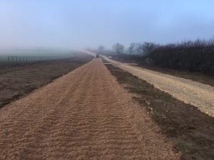 photo-16-12-2016-12-27-38