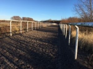 smaller gallop