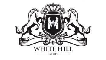 white hill stud logo