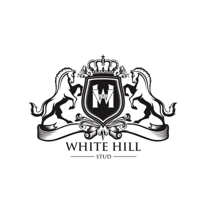 white hill stud logo