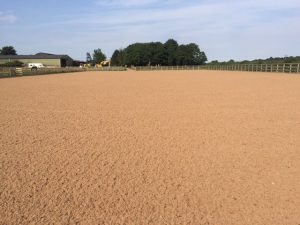 Michael Whittaker Outdoor Arena