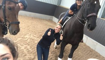 classic dressage