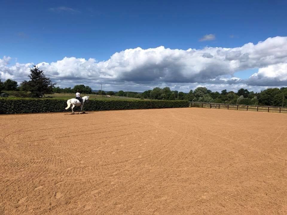 Completed Arena with Horse