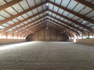 Indoor Cushion Track - Surface Finished