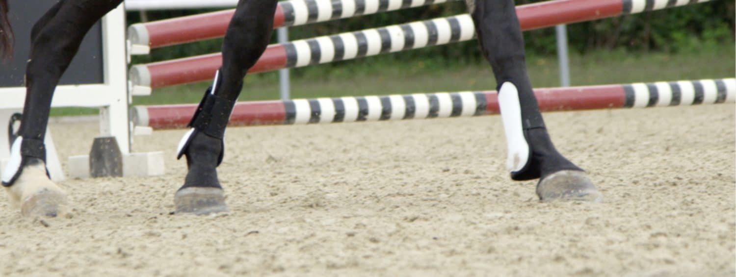 Impact on Horse