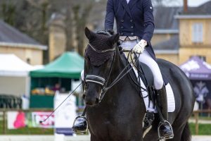 horse-4114146_1920