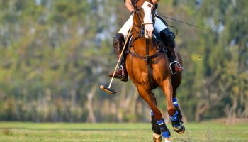 Polocrosse, Mounted Games