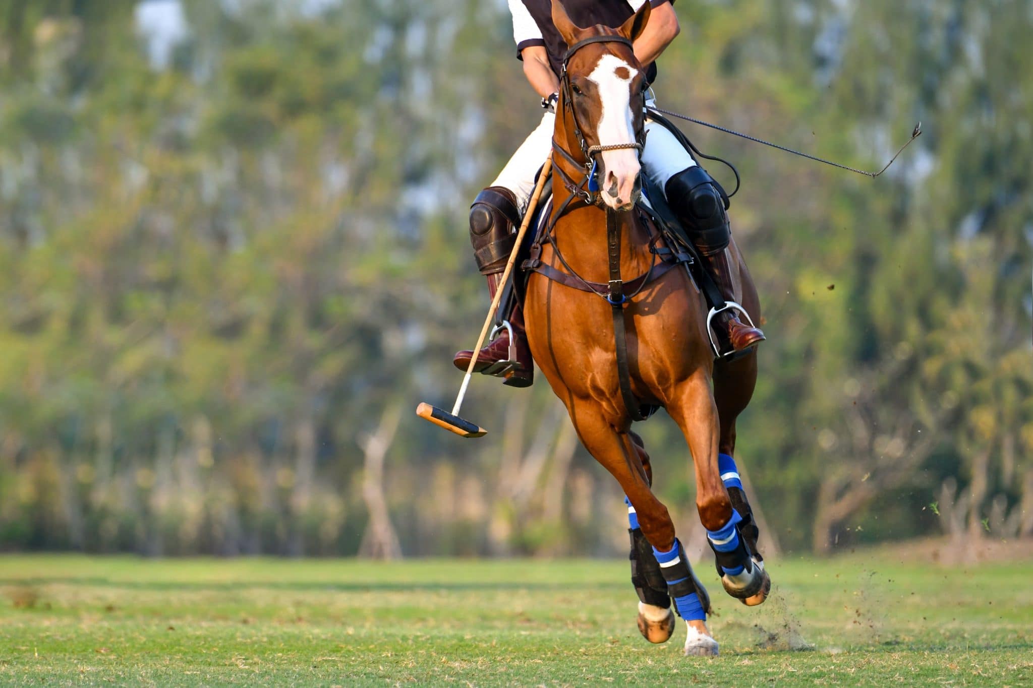 Polocrosse, Mounted Games