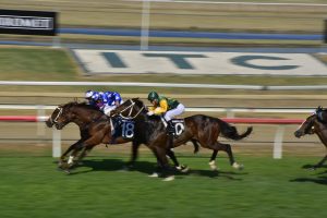 horseracing