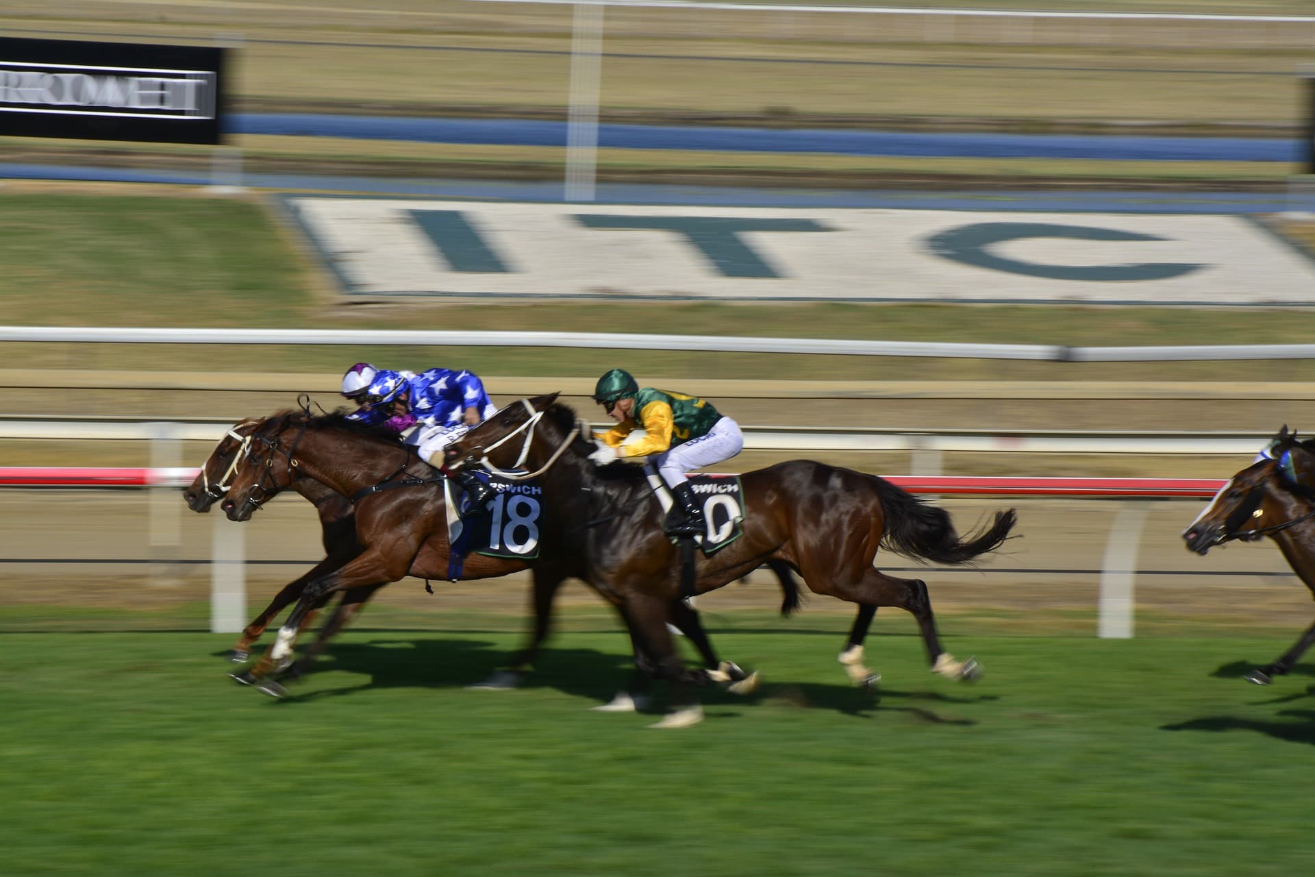 horseracing