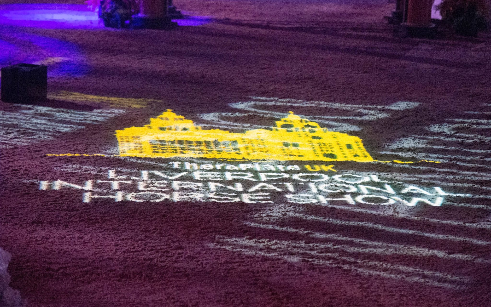 LIHS Logo on Surface
