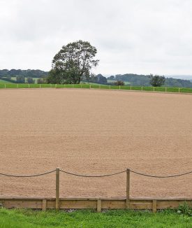 equestrian-surfaces-ltd-cushion-track-classic-01-1-scaled-aspect-ratio-1700-550