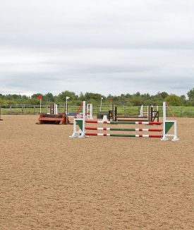 equestrian-surfaces-ltd-cushion-track-premier-01-1-scaled-aspect-ratio-1700-550