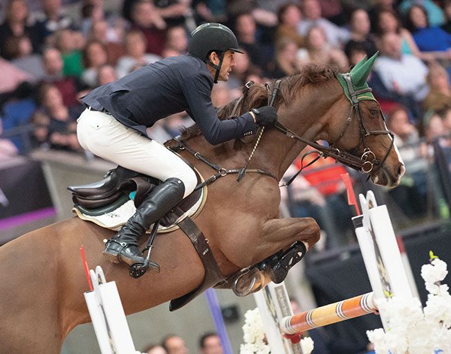 equestrian-surfaces-ltd-discipline-showjuming-aspect-ratio-255-200