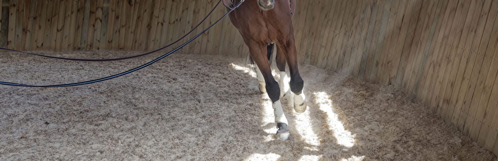equestrian-surfaces-ltd-lunge-pens-scaled-aspect-ratio-1700-550