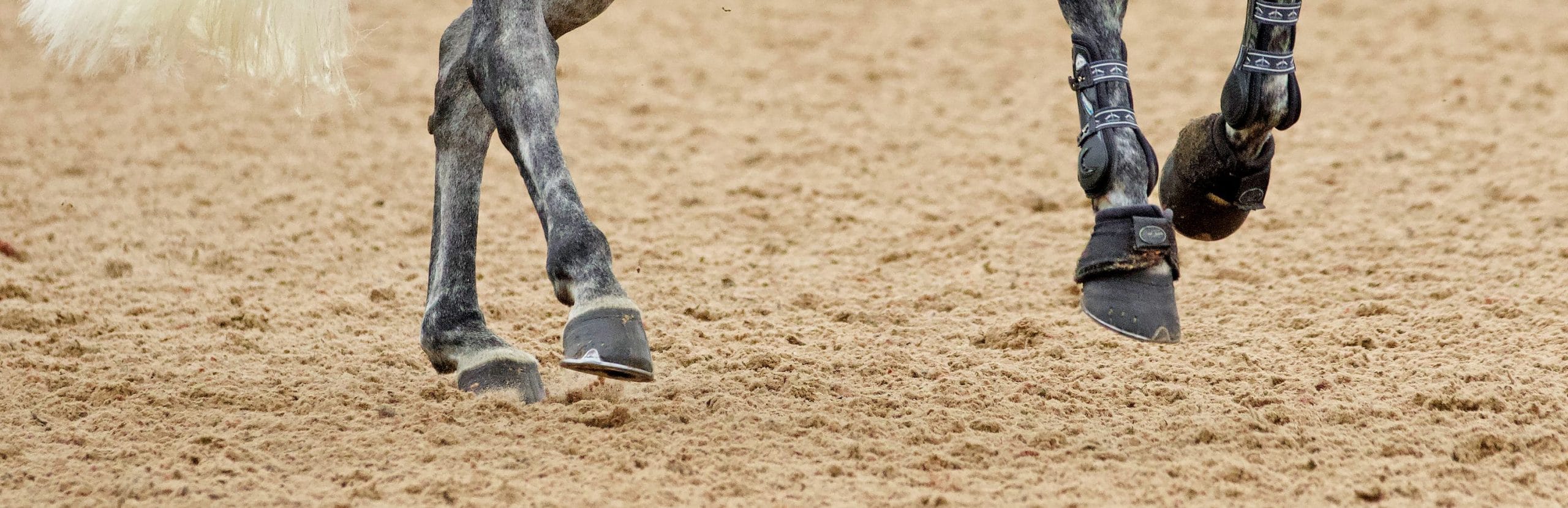 equestrian-surfaces-ltd-surfaces-01-scaled-aspect-ratio-1700-550