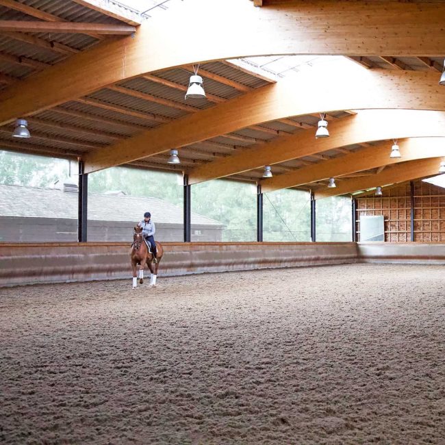 indoor-arenas-aspect-ratio-650-650