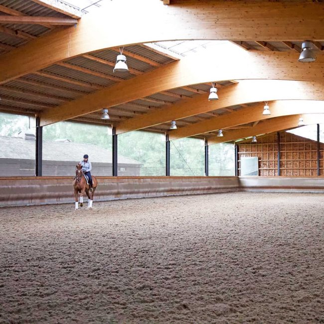 indoor-arenas-aspect-ratio-650-650