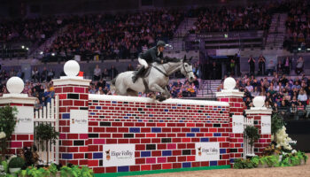 liverpool-horse-show-04
