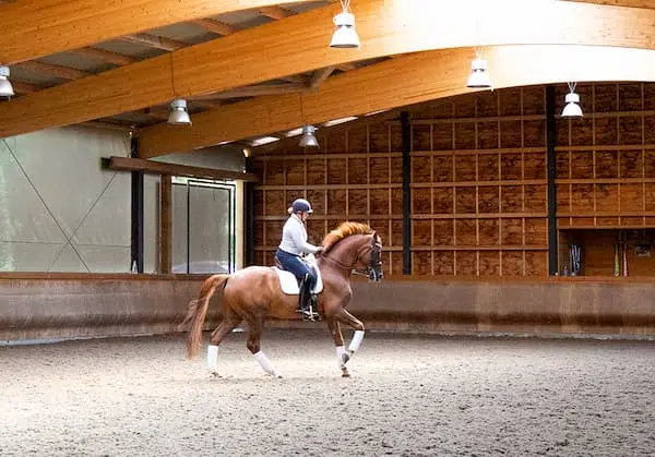 equestrian-surfaces-homepage-arena (1)