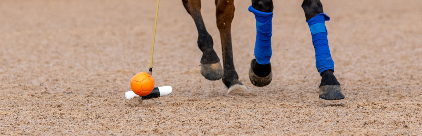 equestrian-surfaces-ltd-polo-scaled-aspect-ratio-1700-550