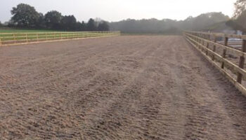 para-dressage