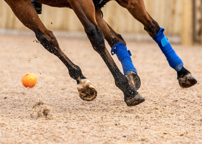 polo3