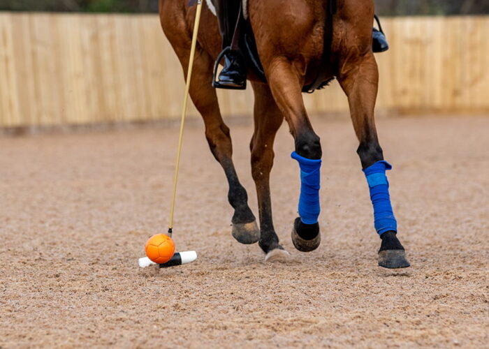 polo4