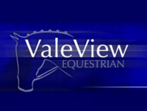 vale-view2
