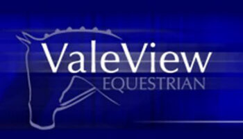 vale-view2