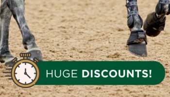 End-of-Year Offer 2020
