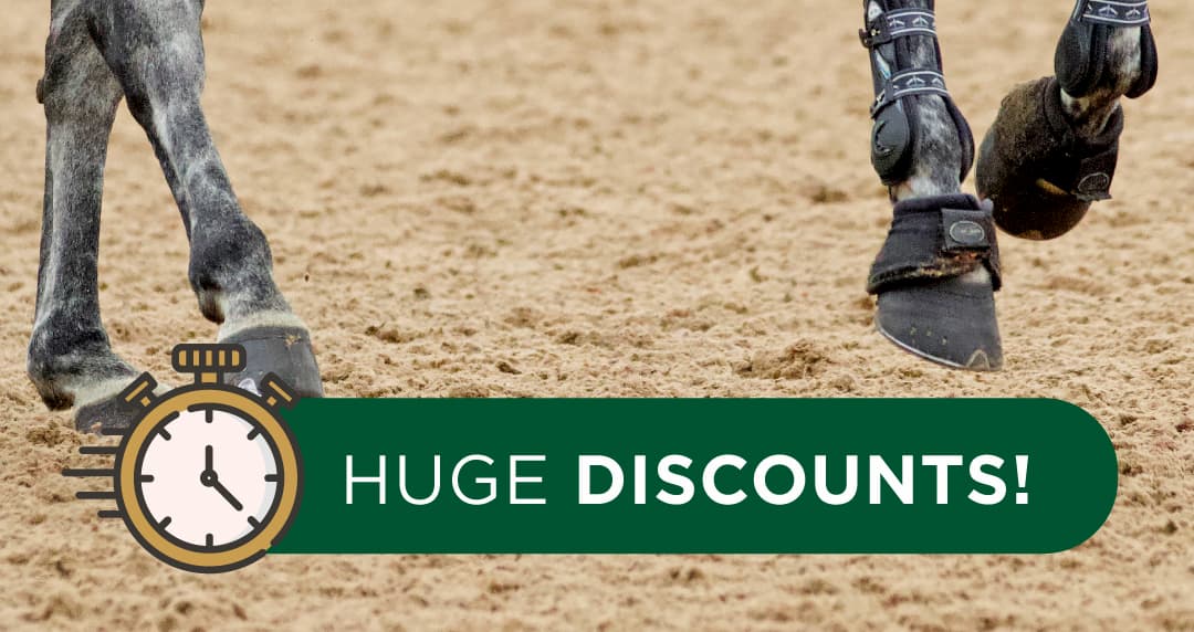 End-of-Year Offer 2020