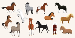 popular horse breeds