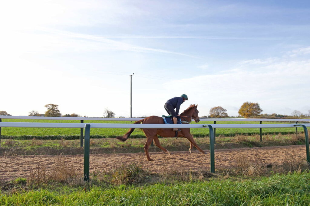 Racing Marcus Foley