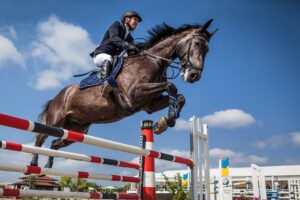 Equestrian Sport Set to Resume!
