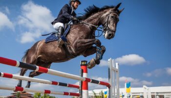 Equestrian Sport Set to Resume!