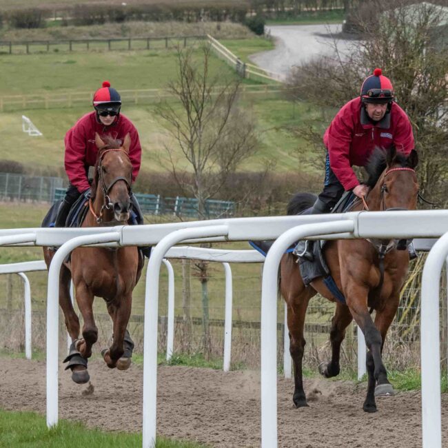 installation-gallops-training-tracks-scaled-aspect-ratio-650-650