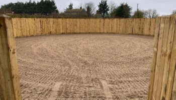 Darling Dressage, Suffolk