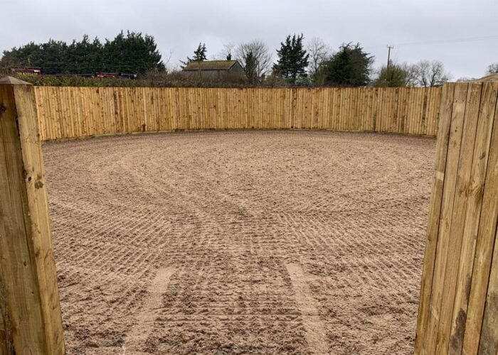 Darling Dressage, Suffolk