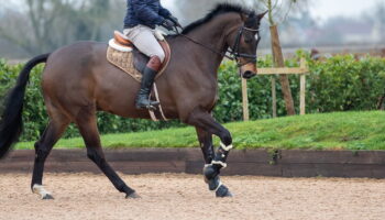 Land Rover Burghley Horse Trials 2021 Cancelled