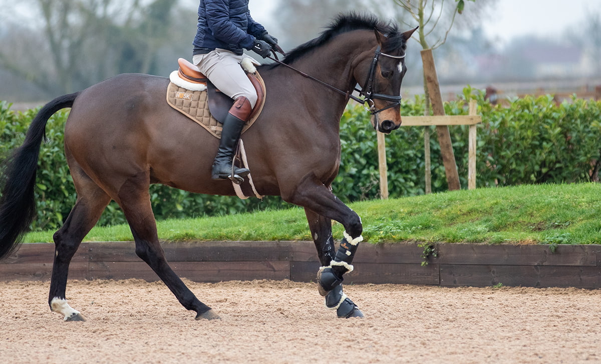 Land Rover Burghley Horse Trials 2021 Cancelled