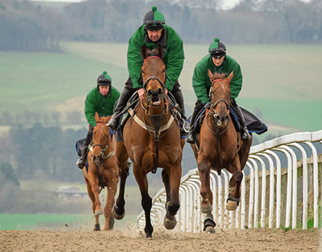 equestrian-surfaces-ltd-discipline-racing-2-aspect-ratio-255-200