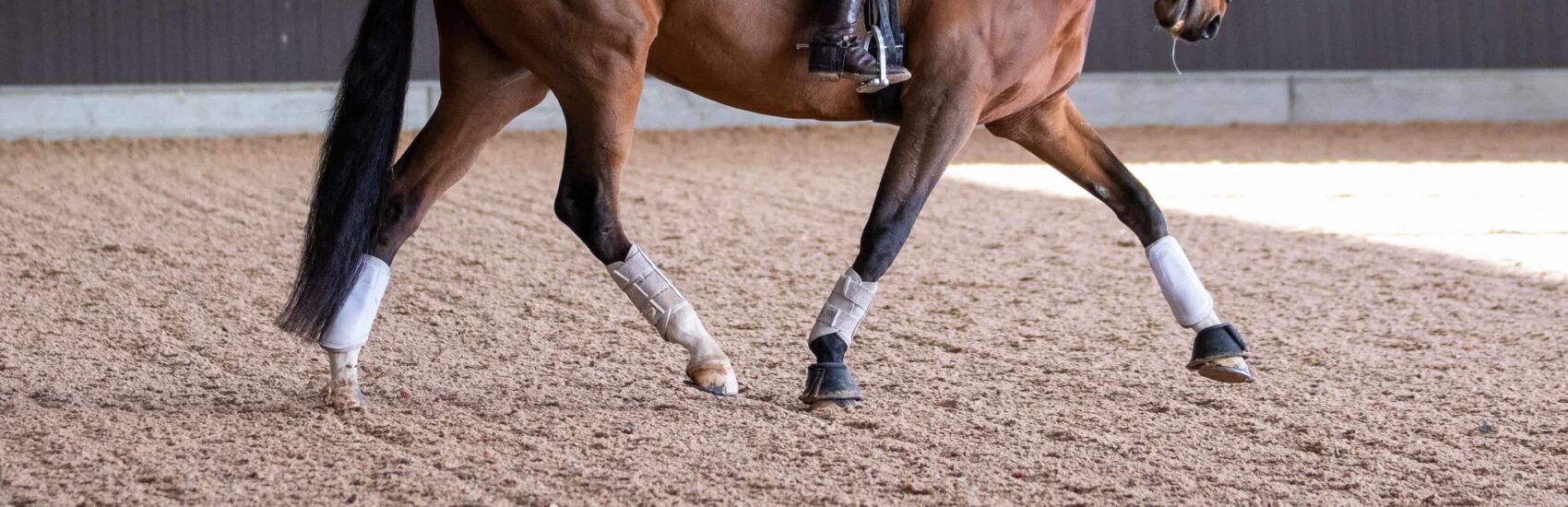 equestrian-surfaces-ltd-dressage-02-scaled-aspect-ratio-1700-550