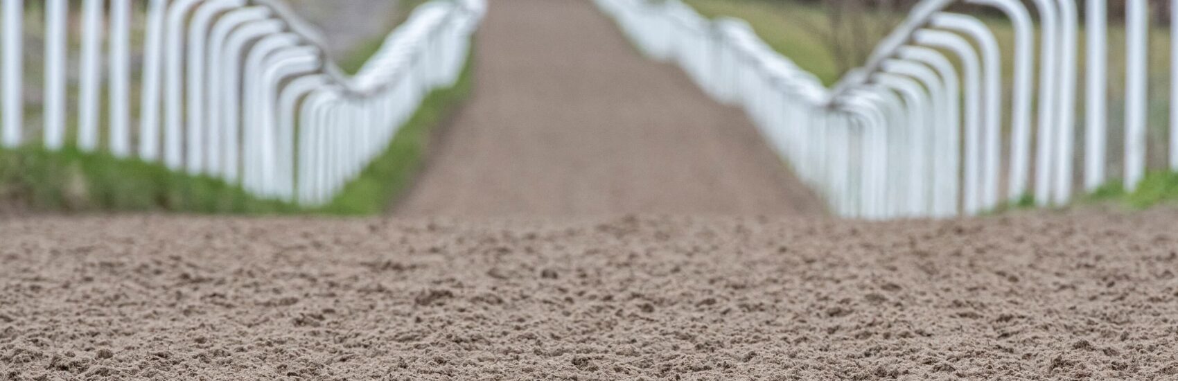 equestrian-surfaces-ltd-racing-04-scaled-aspect-ratio-1700-550