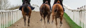 Equestrian racing surfaces