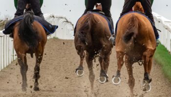 Equestrian racing surfaces