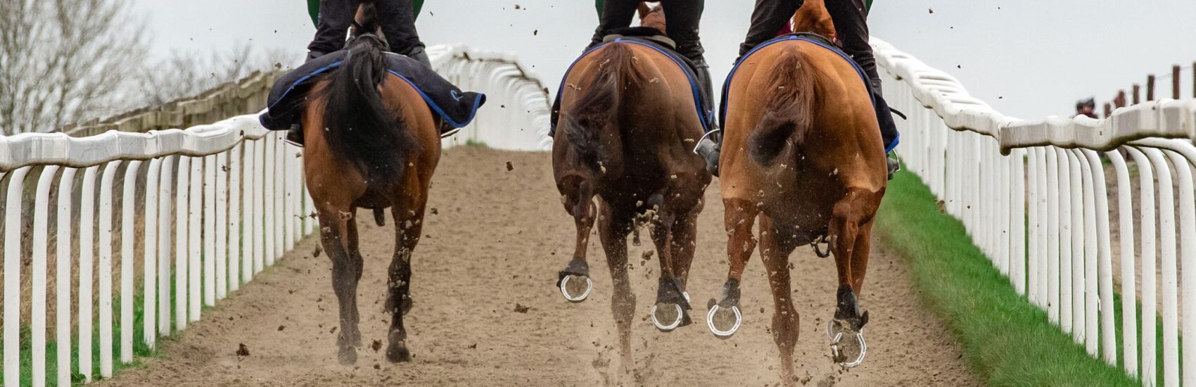 equestrian-surfaces-ltd-racing-06-scaled-aspect-ratio-1700-550