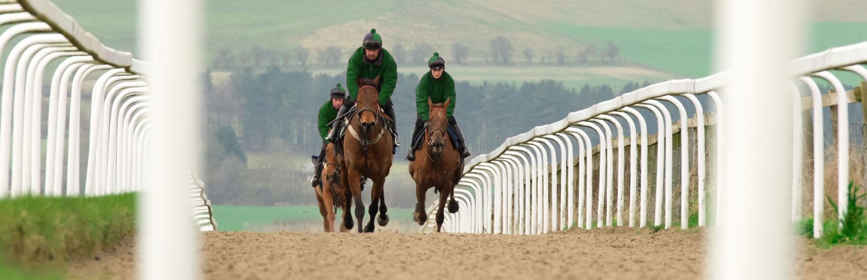 equestrian-surfaces-ltd-racing-08-scaled-aspect-ratio-1700-550
