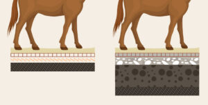 Equestrian Surfaces Drainage
