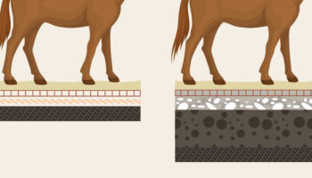 Equestrian Surfaces Drainage